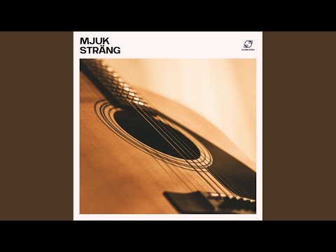 Dr&ouml;msk Akustisk Gitarr