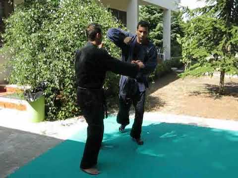 27-10-WJJF-Sticky hands kata-2ND DAN SENIOR PAPPOLLA- 6 GOLD TAB JUNIOR