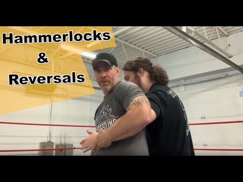 Pro wrestling tutorial (hammerlocks and reversals)
