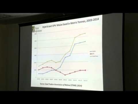 Blessings Chinsinga: From seed policy to practice: perspective from Malawi