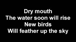 William Fitzsimmons - Bird of Winter Prey ( Acoustic ) Lyrics