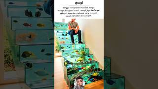 Download lagu TANGGA AKUARIUM: aquarium ladder mp3