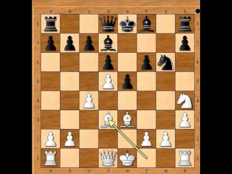 Mat vam preti bilo šta odigrate - DONISTORPHE vs MUNDELL # 685