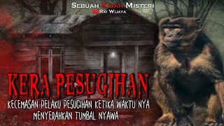 Download lagu PESUGIHAN KERA YANG MEMAKAN TUMBAL ISTRINYA SENDIRI (KISAH NYATA) mp3 Download lagu PESUGIHAN KERA YANG MEMAKAN TUMBAL ISTRINYA SENDIRI (KISAH NYATA) mp3