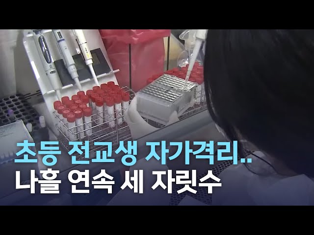 초교 전교생 자가격리..확진세 계속