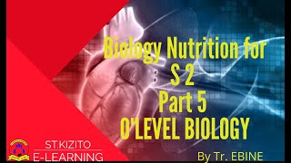 ST KIZITO SS BUGOLOBI 6 Biology Nutrition for S 2 Part 5