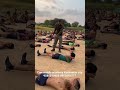 Sixpack Exercise Army Physical Exercise Indianarmy
