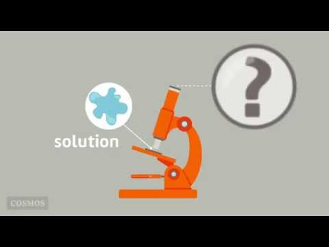 Solutes + solvents = solutions