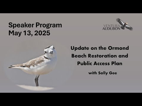 OBRAP Status Update  with Sally Gee  05 13 25