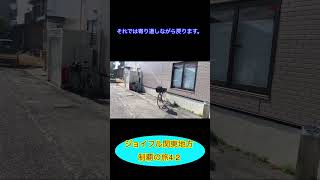 ジョイフル関東地方制覇の旅4-2  #鉄道旅 #ジョイフル #唐揚げ #ドリンクバー #気動車 #遅延 #グリーン車 #駅弁