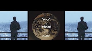 Andy Cook - Wings
