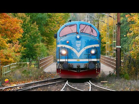 Autumn on the Swedish Railway part 16 - Trains in Degerfors