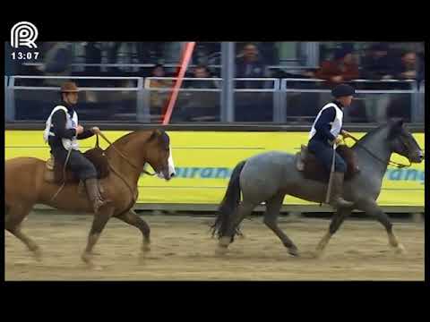 Aberta de Esteio – 1° e 2° lugar machos – PP Saudade de Um Amigo e Monarca da Dom Manoel (Campo II)