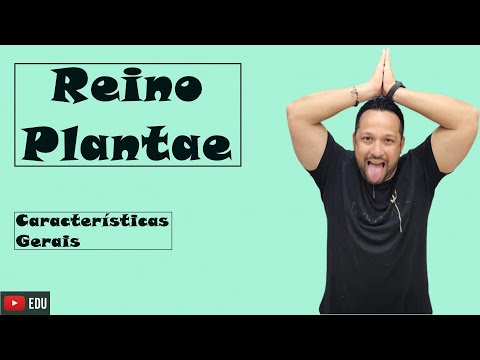 Reino Plantae ou Metaphyta - Características Gerais das Plantas - Botânica