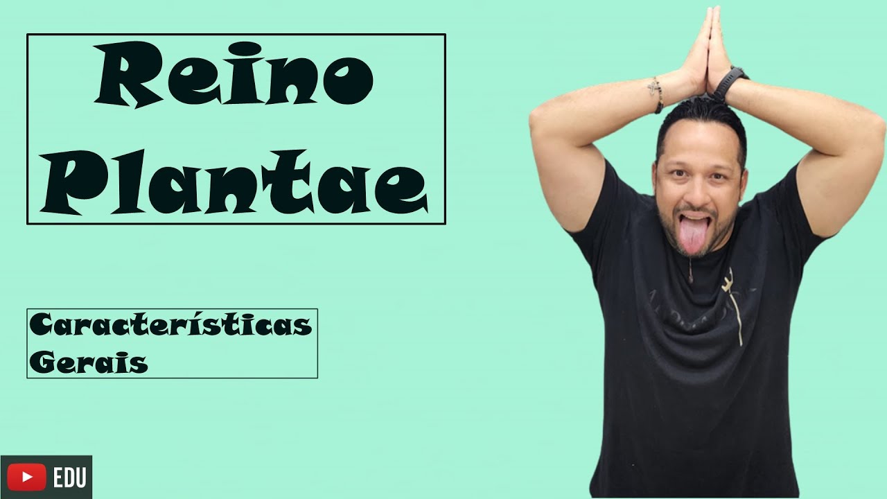 Reino Plantae ou Metaphyta - Características Gerais das Plantas - Botânica