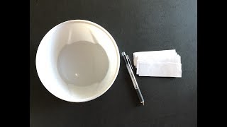 How To Play Fishbowl