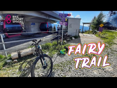 Vulpea pe Fairy Trail | BIKE RESORT SINAIA