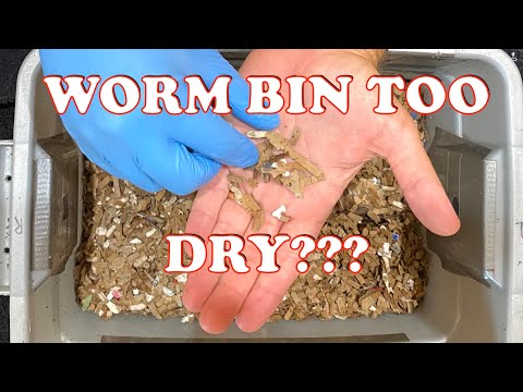 When is a worm bin too dry? | Vermicompost Worm Farm