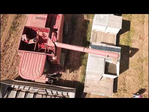 Mavic Pro Sunflower Seed Harvest 2017