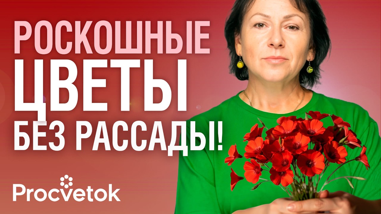 ПОСЕЙТЕ ЭТИ ЦВЕТЫ В АПРЕЛЕ-МАЕ СРАЗУ В ГРУНТ и любуйтесь ярким цветением без тли и сорняков