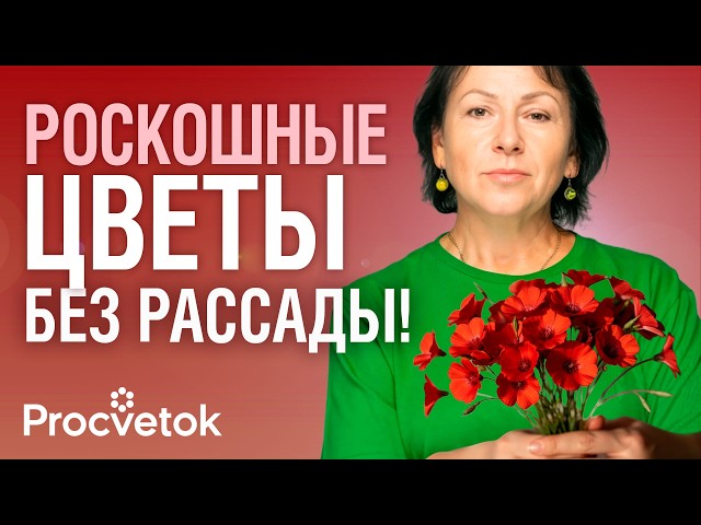 ПОСЕЙТЕ ЭТИ ЦВЕТЫ В АПРЕЛЕ-МАЕ СРАЗУ В ГРУНТ и любуйтесь ярким цветением без тли и сорняков
