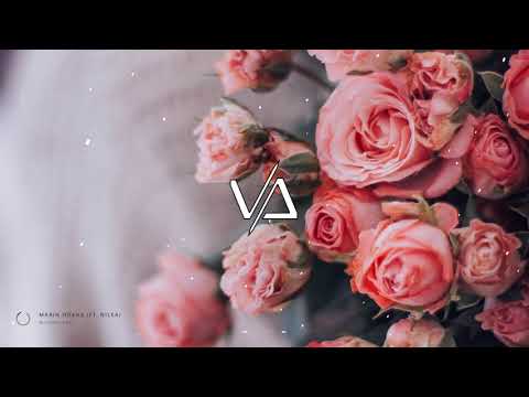Marin Hoxha - Without you (feat Nilka)