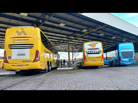 NOVA LINHA DA ÁGUIA BRANCA | MOVIMENTAÇÃO RODOVIÁRIA DE VILA VELHA 