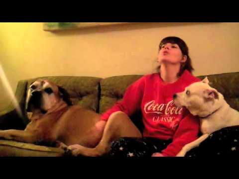 Nasir (from "The Dog Whisperer"), Lucy and I howling cause we're bored