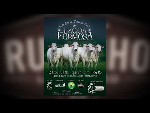 LEILÃO DE CORTE -  LAGOA FORMOSA - 23 DE ABRIL, 2026 - 17H00