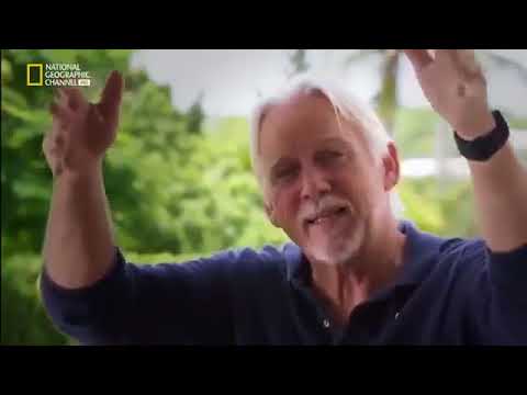 El triángulo de las Bermudas ¿ National geographic en hd Una puerta a otra dimensión