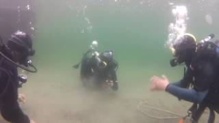 PADI Open Water Certification - skills insight