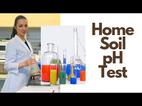 How to test soil pH at home