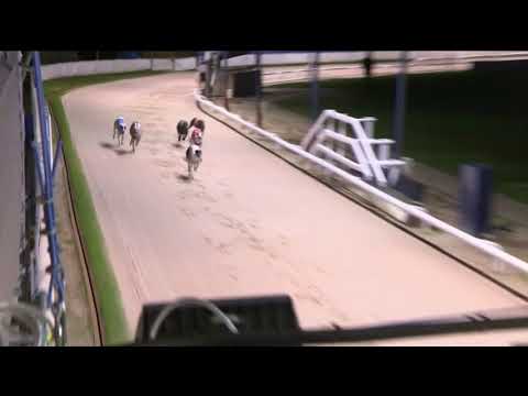 2018 CORAL ESSEX VASE - T3  PRIME TIME