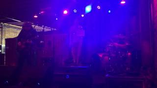 Average Mammals - Spring Fling (Live At The Red Herring Lounge)