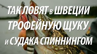 На что ловится рыба в швеции