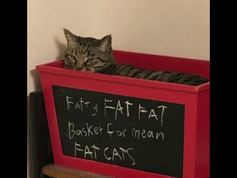 THE ELECTRIBE SESSIONS #36