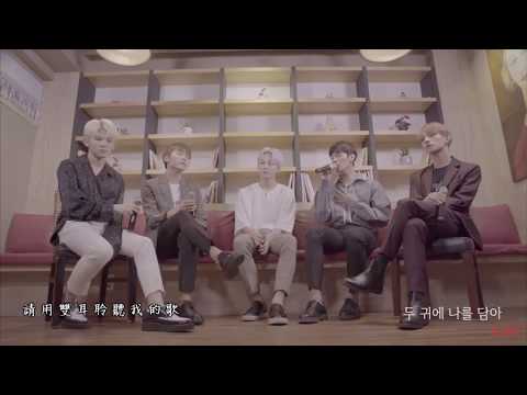 【繁中字】SEVENTEEN(세븐틴)- We gonna make it shine 2017ver.