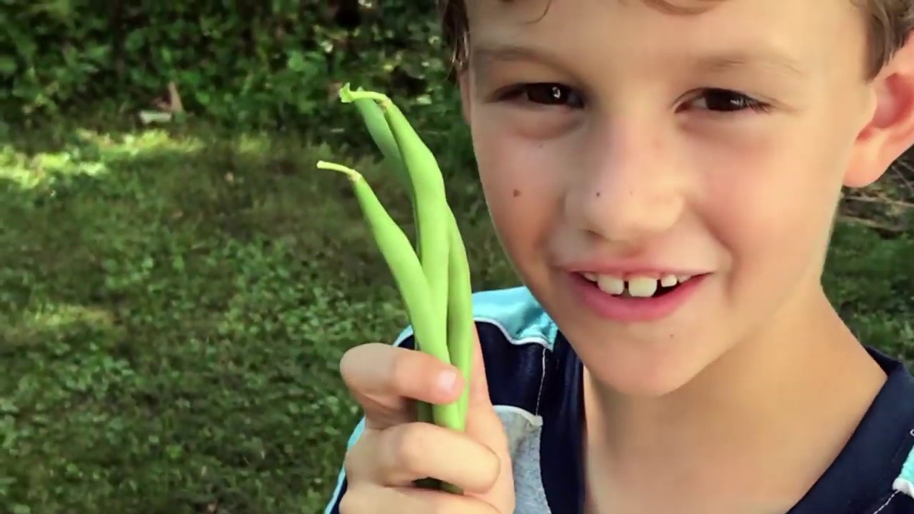 The Story of Backyard Growers - YouTube