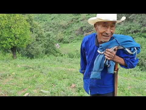 Recibido de Santos Reyes Papalo Cuicatlan Oaxaca Excelente Paisaje 🌳 ⛰️ 🏔