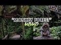 Monkey Forest Ubud - Bali