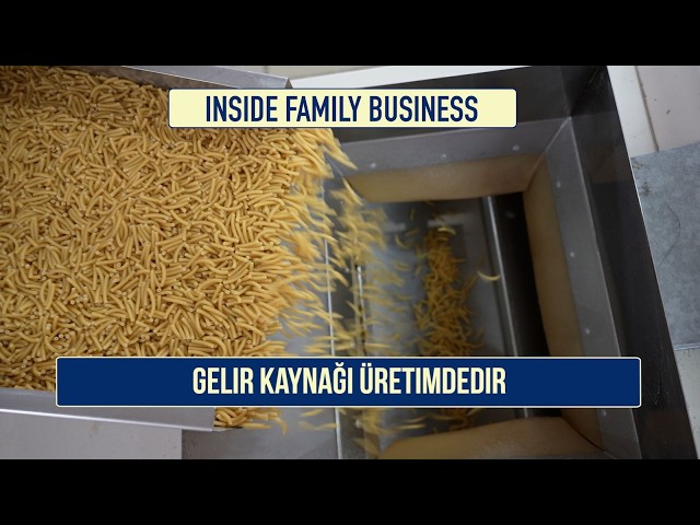 Gelir kaynağı üretimdedir