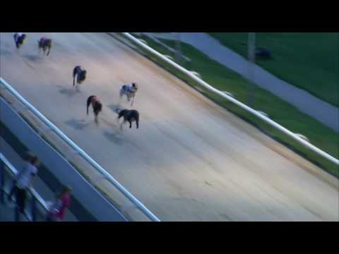 2017 WILLIAM HILL GRAND PRIX - HEAT 6 - T4 SWIFT HANSEL