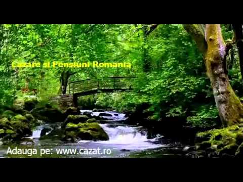 Cazare Buceava Soimus, Arad - Cazat.ro