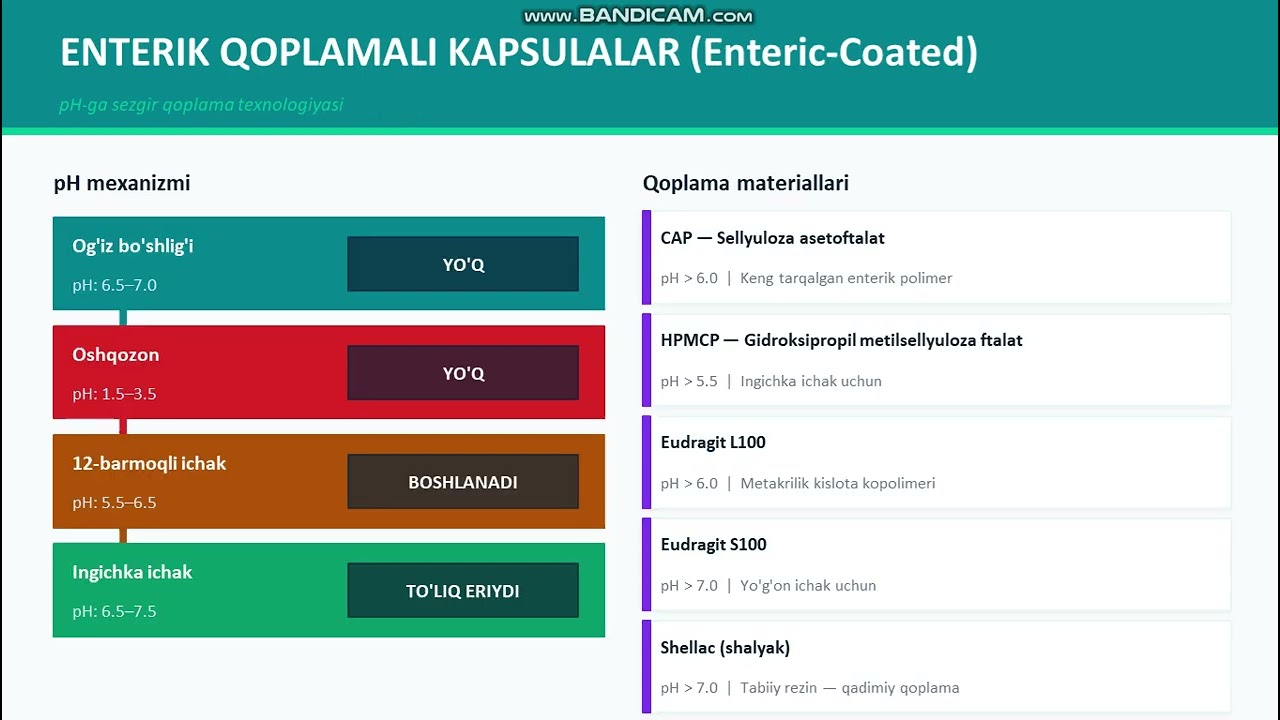Kapsulalar ishlab chiqarish
