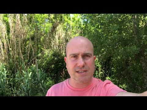 Barzelletta:” il parrucchiere e il cliente particolare...”