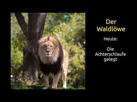 Achterschlaufe gelegt