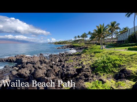Wailea Beach Path 🏝️ Wailea, Havaí na ilha de Maui 🌺 #beachwalker