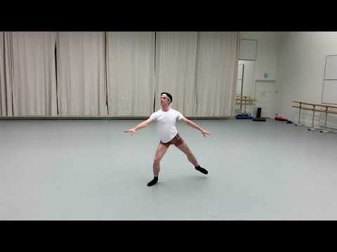 Male Ballet Dancer Practicing