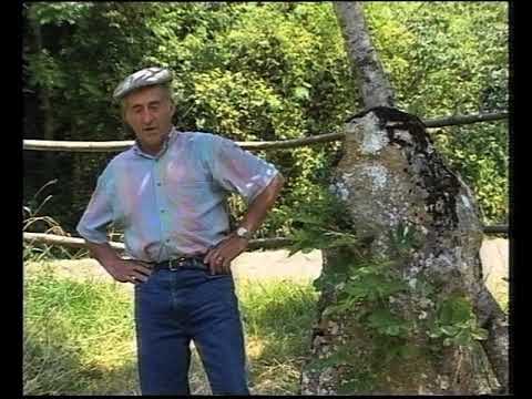 Quand lo mèstre ven del mercat… (4/5)
