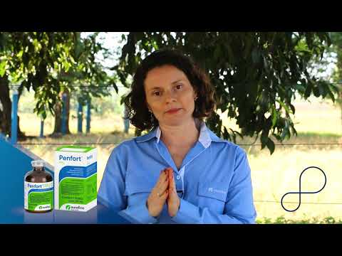 #SoluçãoOurofino | Penfort PPU | Suínos